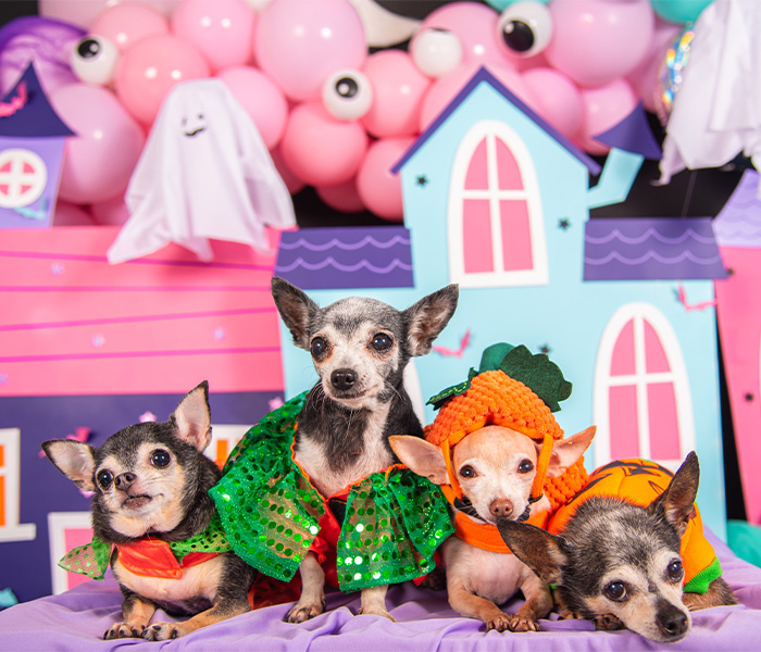 especial-whisky-03-tn